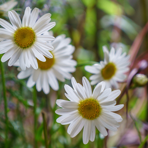 FREE Good Friday Social Event